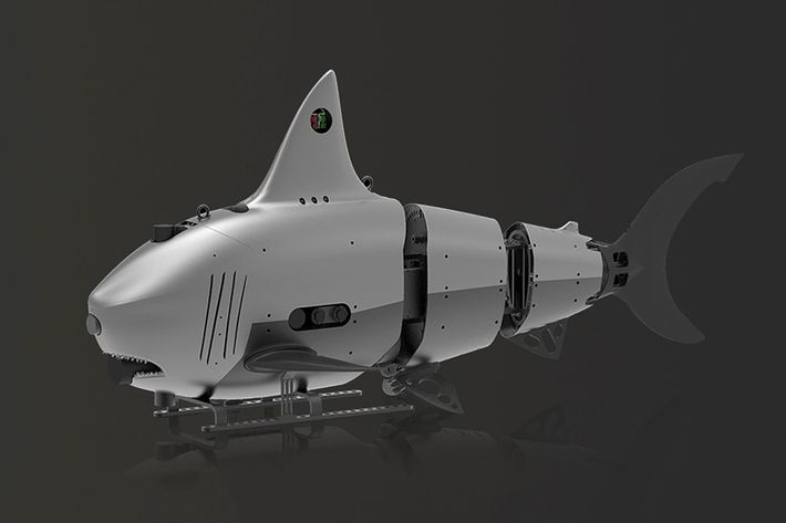 Robo-Shark